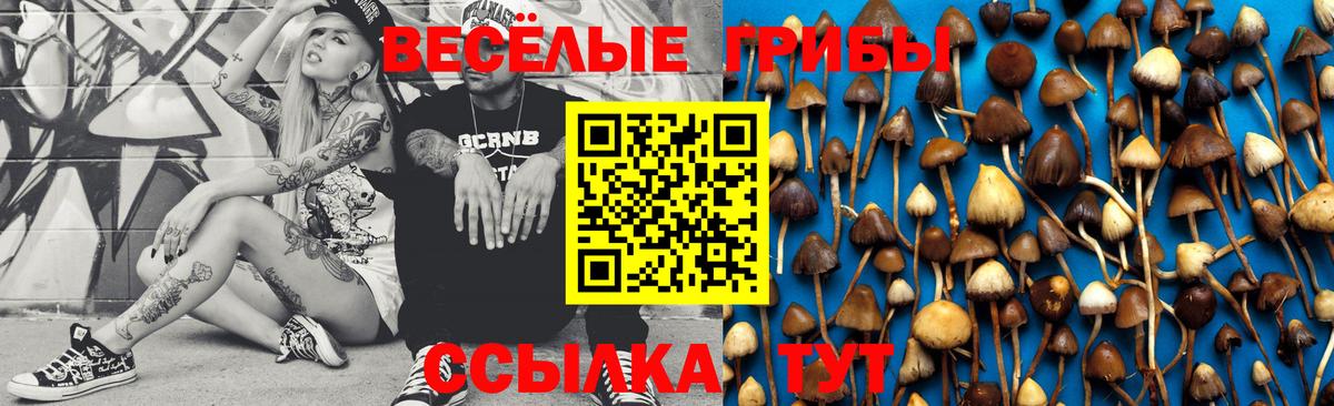 Лесной  Псилоцибиновые грибы прущие грибы  Вход с VPN  Псилоцибиновые грибы MAGIC MUSHROOMS 