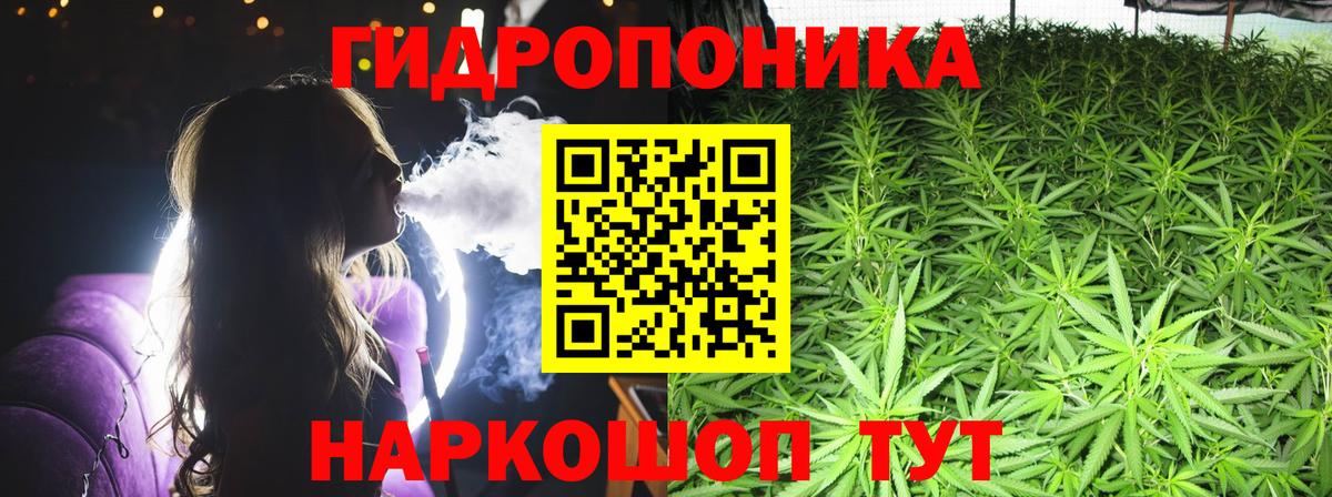 Лесной  Бошки Шишки LSD WEED  Вход с VPN  Бошки Шишки MAZAR 